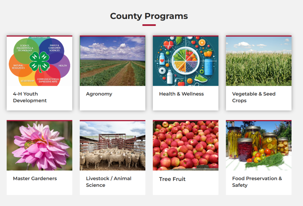 Screenshot of the county programs section on a website.