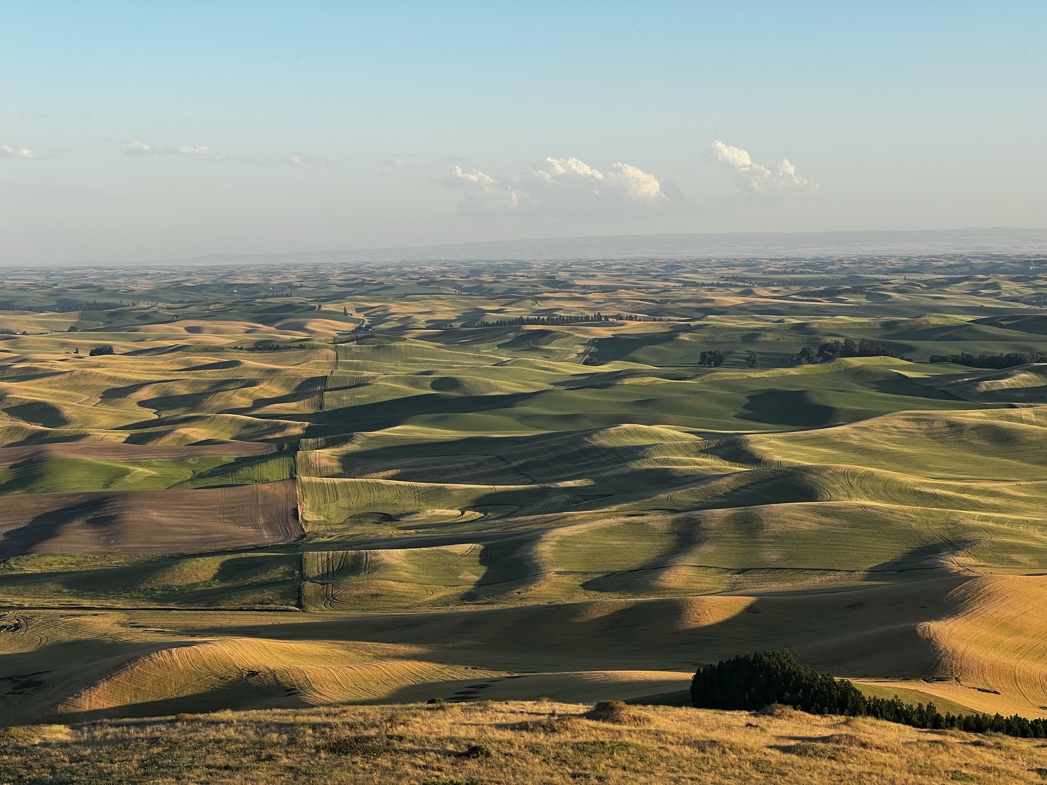 Wide landscape view of rolling farmland hills with patchwork fields stretching to the horizon under a clear sky.