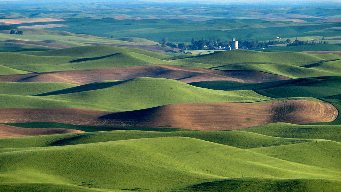 Wide landscape view of rolling farmland hills with patchwork fields stretching to the horizon under a clear sky.