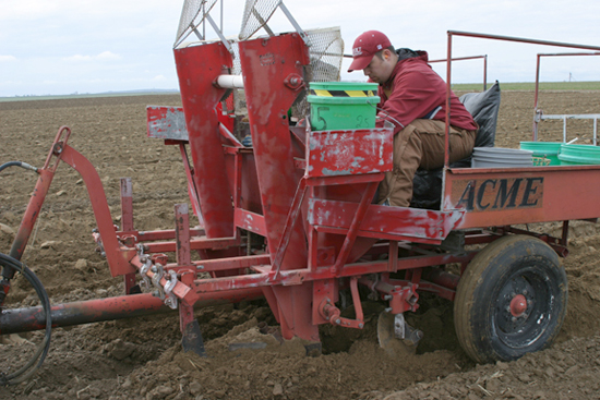 A picture of a two row potato cup planter.