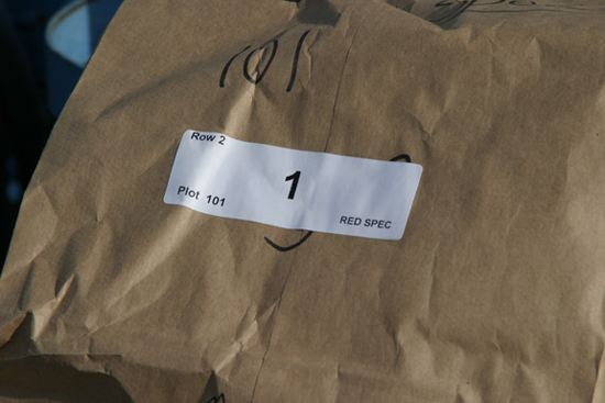 A picture of a label on a paper bag used for planting research plots.