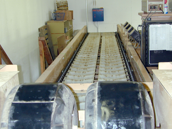 A picture of the cups that are used to weigh individual tubers on an potato sizing machine.