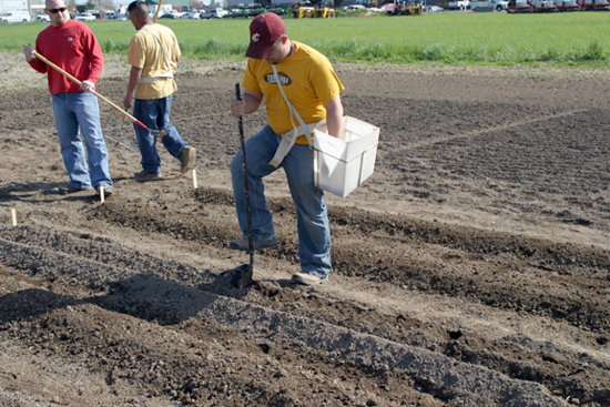 A picture of a man using a potato hand planter in the field.