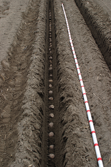A picture of measuring sticks.
