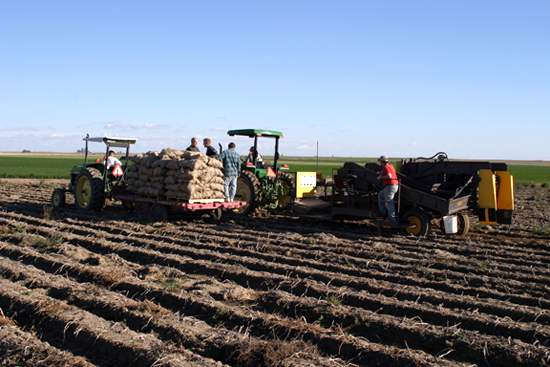 A picture of a one row potato digger and a trailer with pallets of potatoes stacked on top of it.