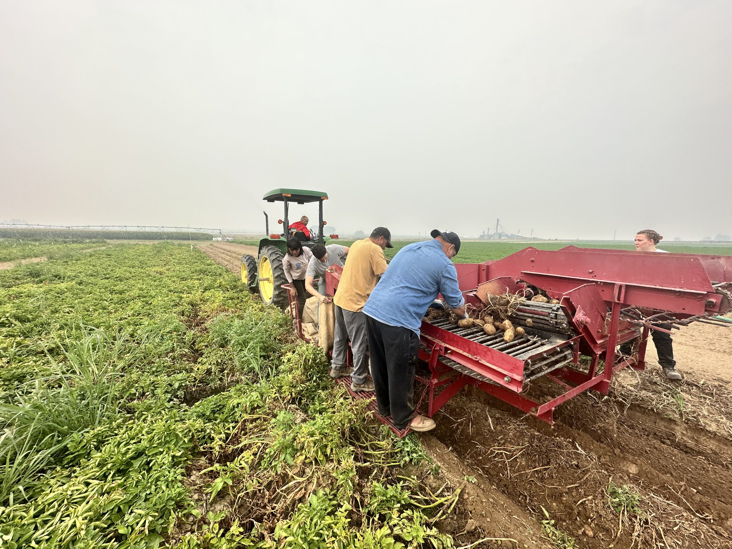 A picture of a one row potato digger.