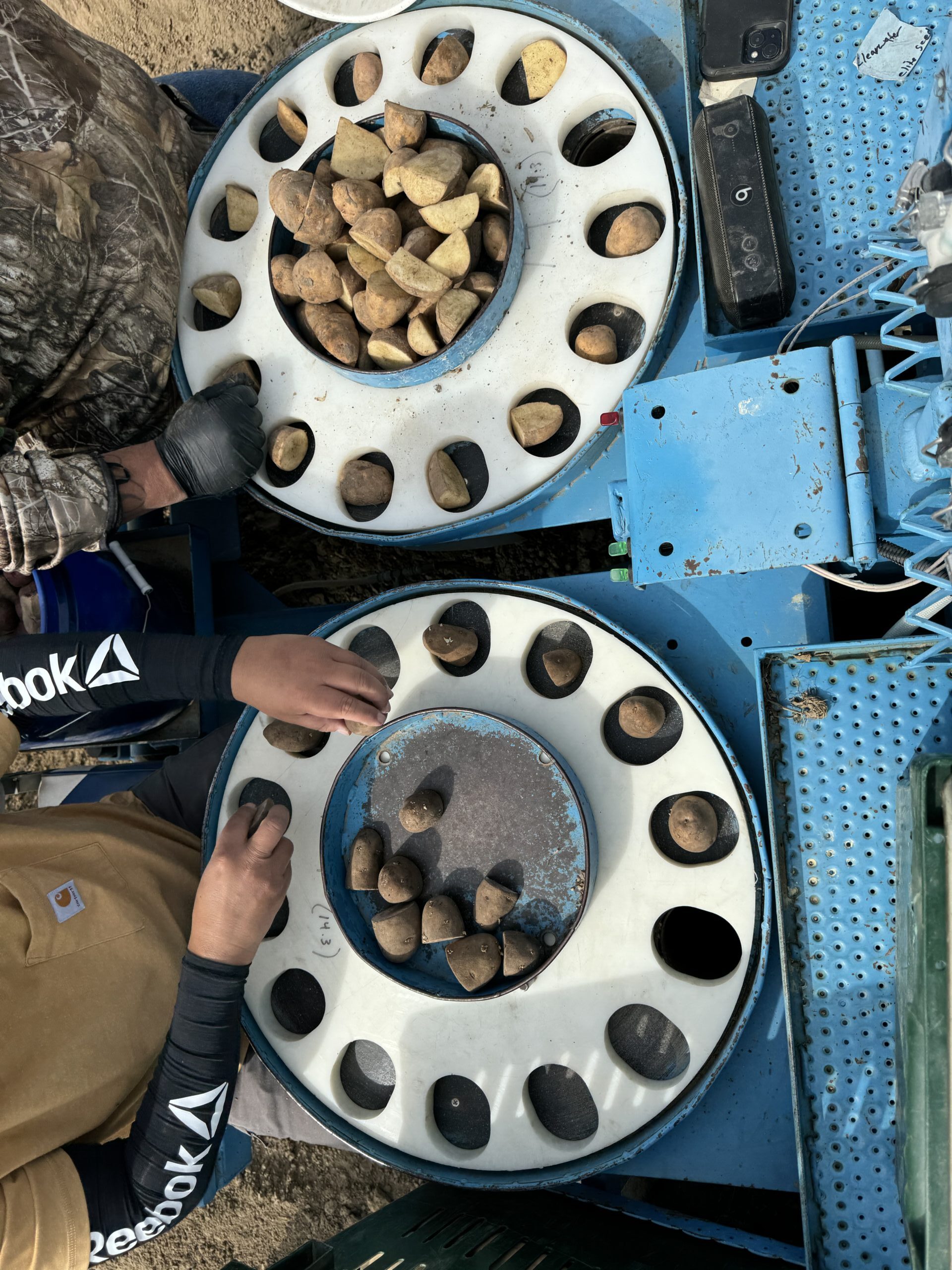 A picture of potato planting discs being used during planting.