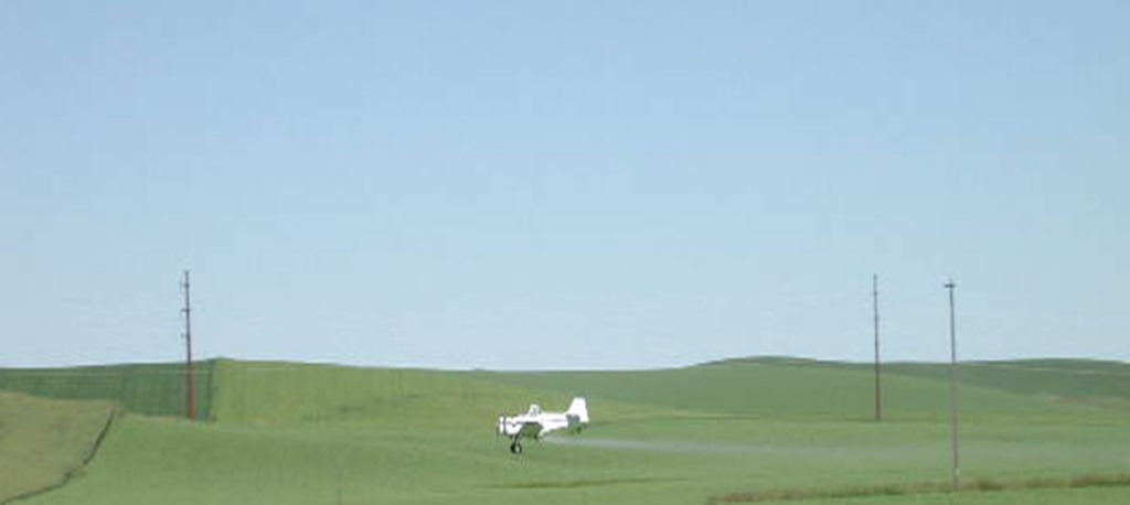 Stripe Rust Crop Dusting