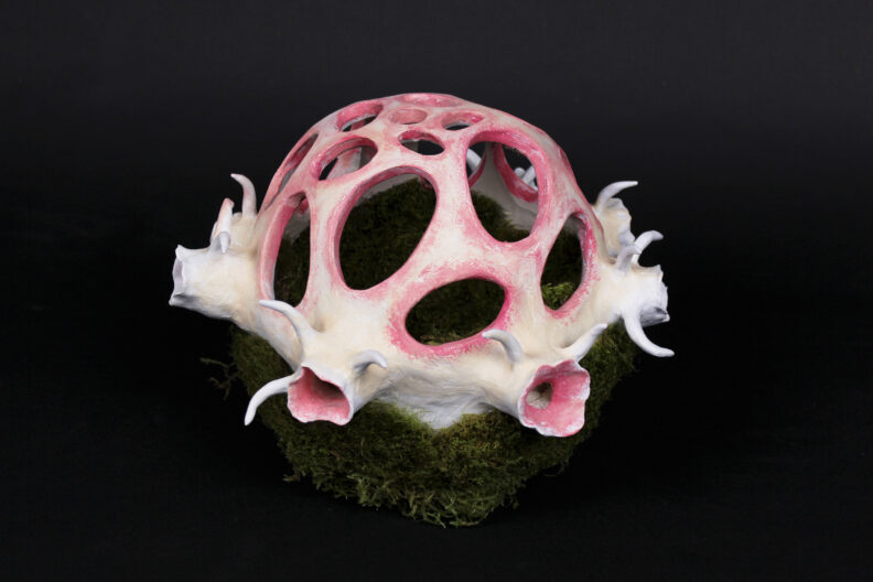 Organic sculpture that resembles a half-sphere shaped organ or bone with holes in it.