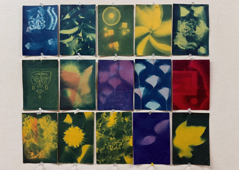 Variety of prints in many colors pinned to wall.