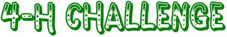 4-HChallenge-1in
