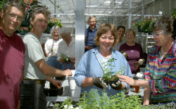 Master Gardeners