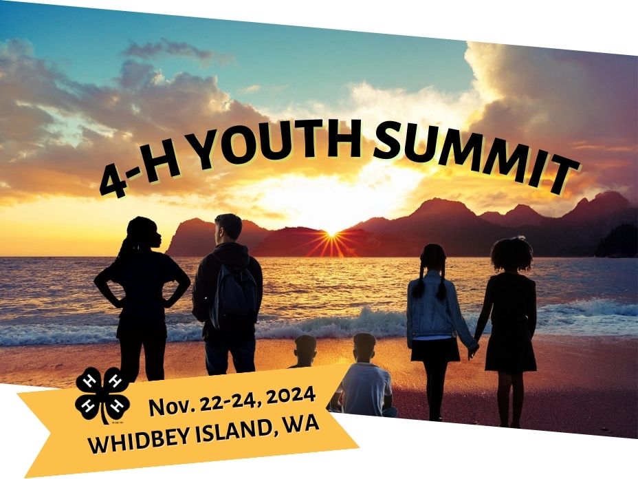Image for youth summit showing a group of youth on the beach watching the sunset