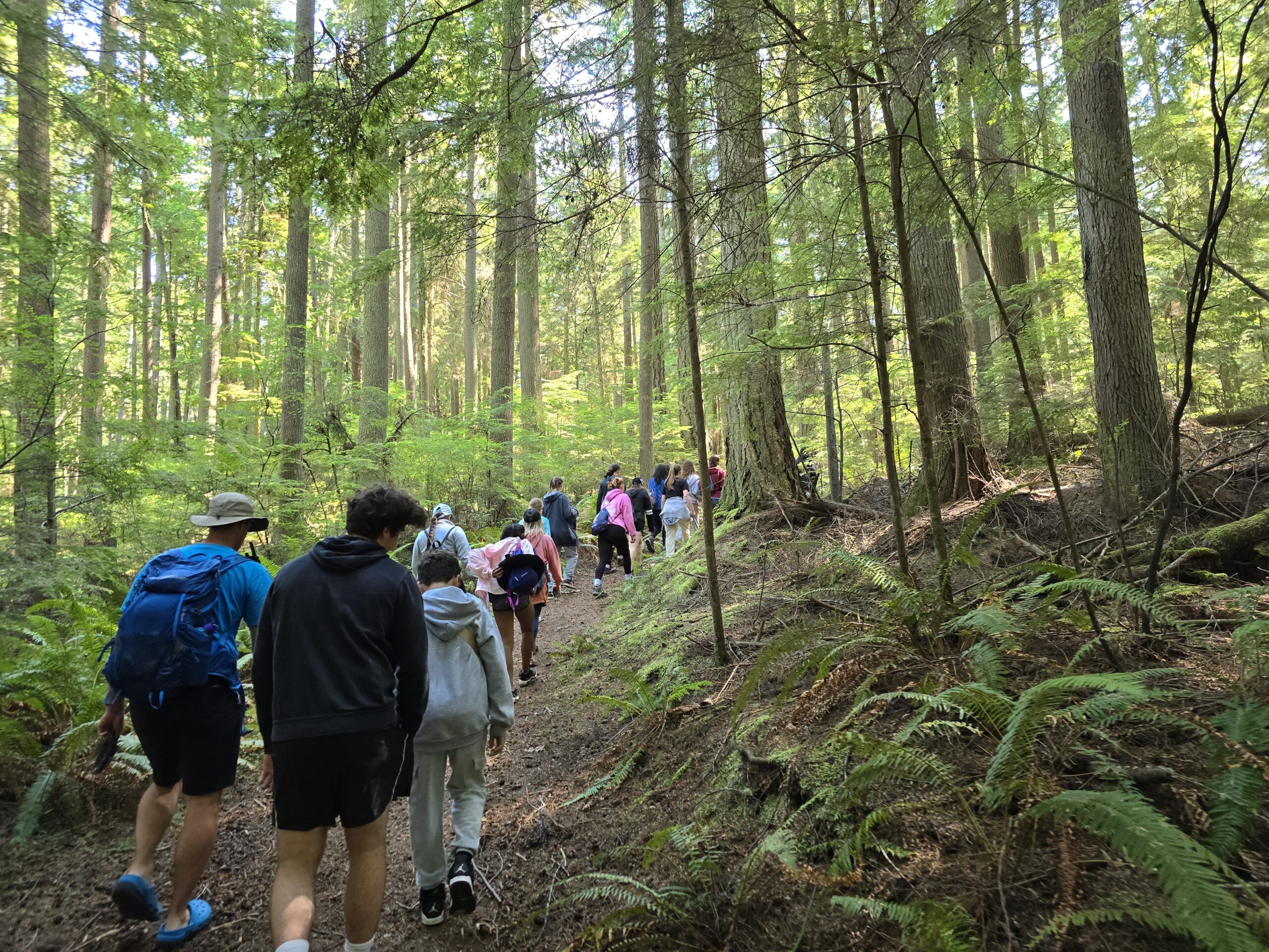 a group of youth walking up a trail in a green forest