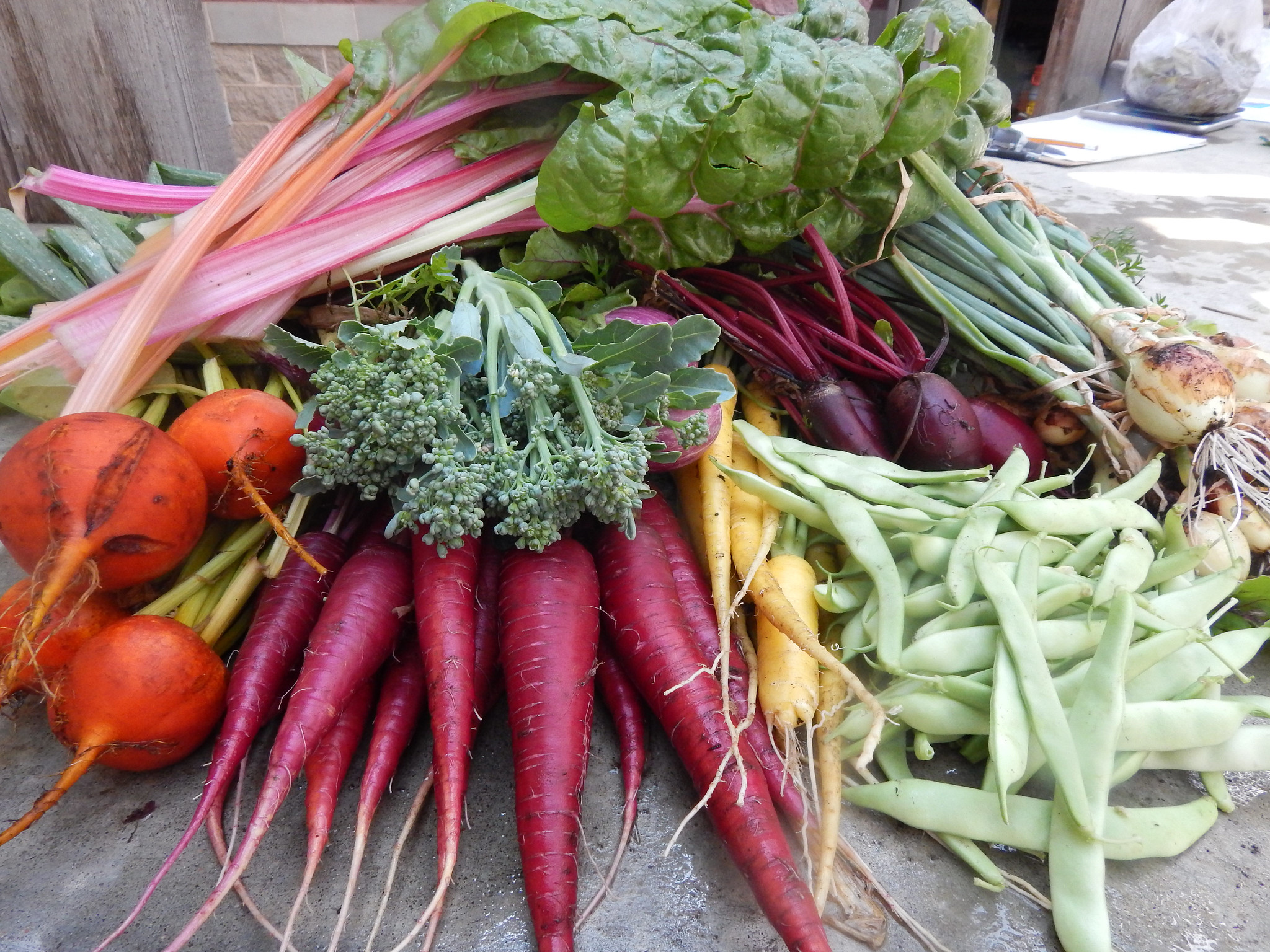 Photo of colorful vegetables