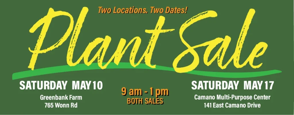 Plant Sale promotional graphic