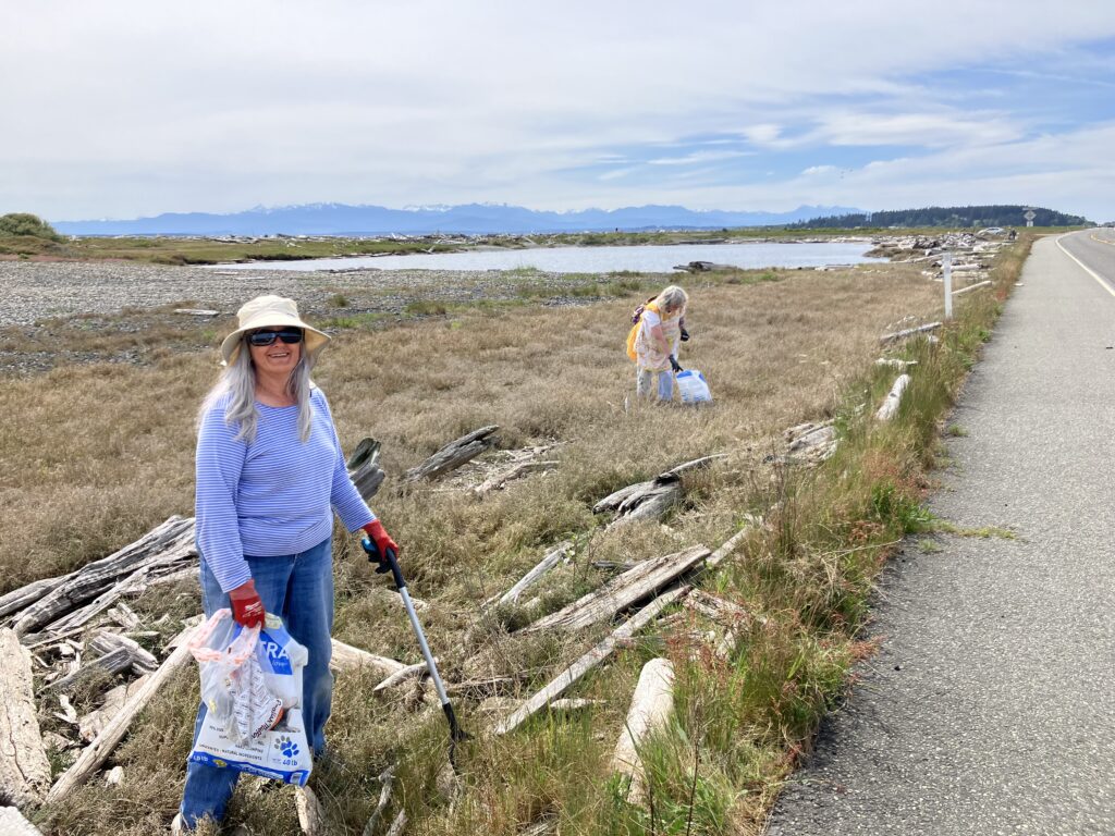 Volunteers picking up garbage in grass between beach and the roadside.