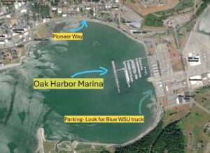 Map of Oak Harbor Marina