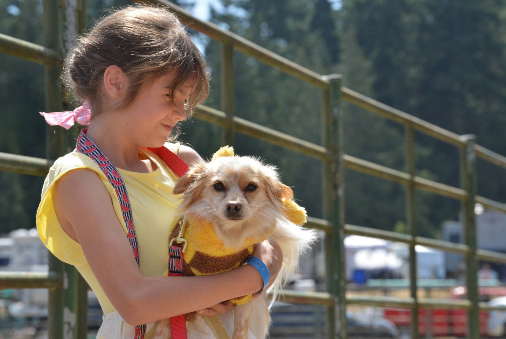 4-H member holding their small dog for the costume class at the 2025 Whidbey Island Fair.
