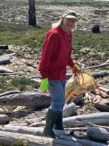 Image of person cleaning beach
