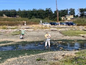Image of lagoon beach cleanup