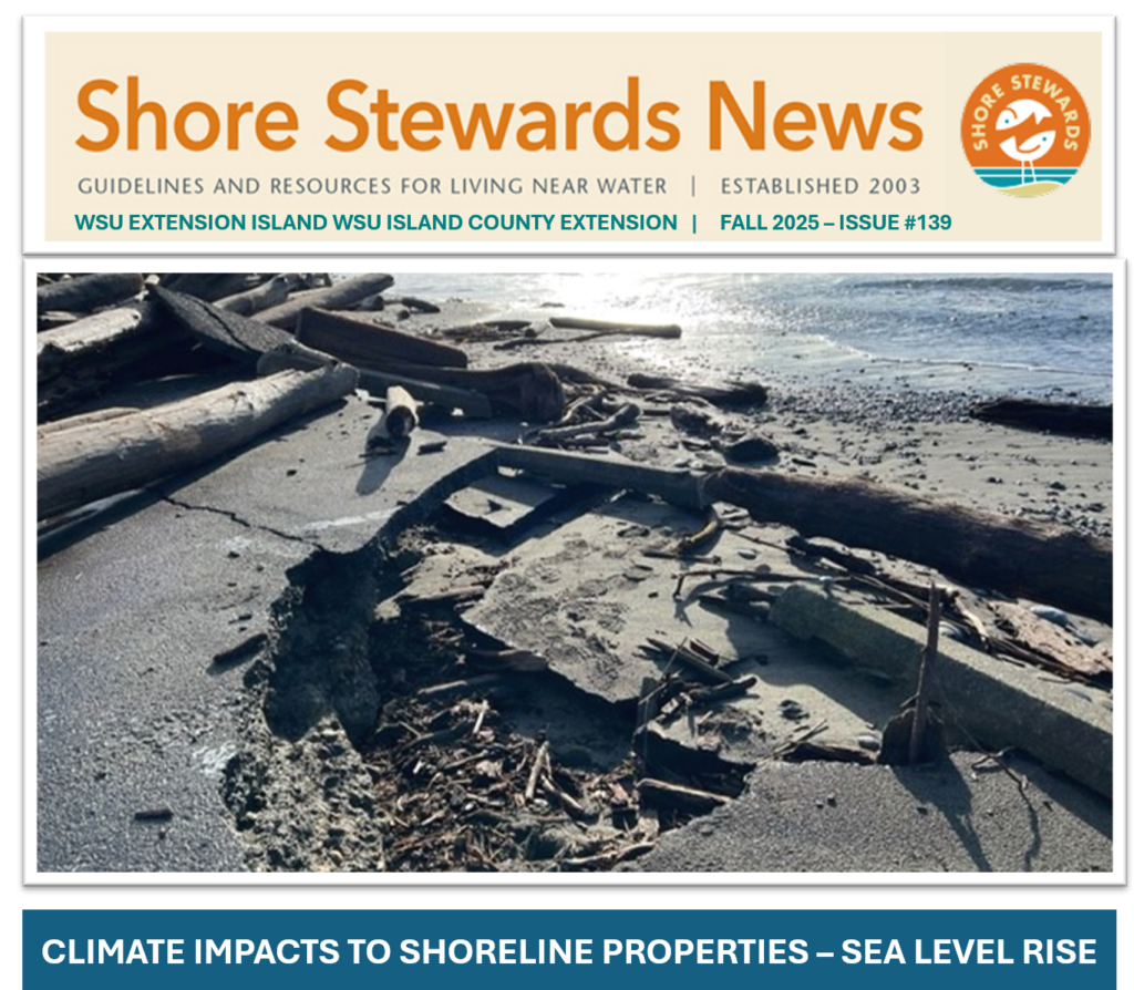 Image showing the Shore Stewards News, Shorse Stewards Logo, and the text that reads Guidelines and Resources for Living Near Water.  Established 2003.  WSU Extension Island WSU Island County Extension. Fall 2025-Issue #139