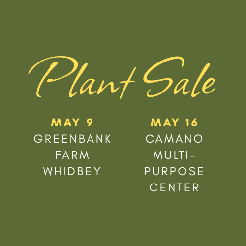 Plant Sale