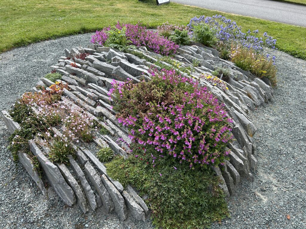 Crevice Garden at Greenbank Farm