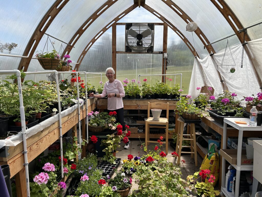 Greenhouse