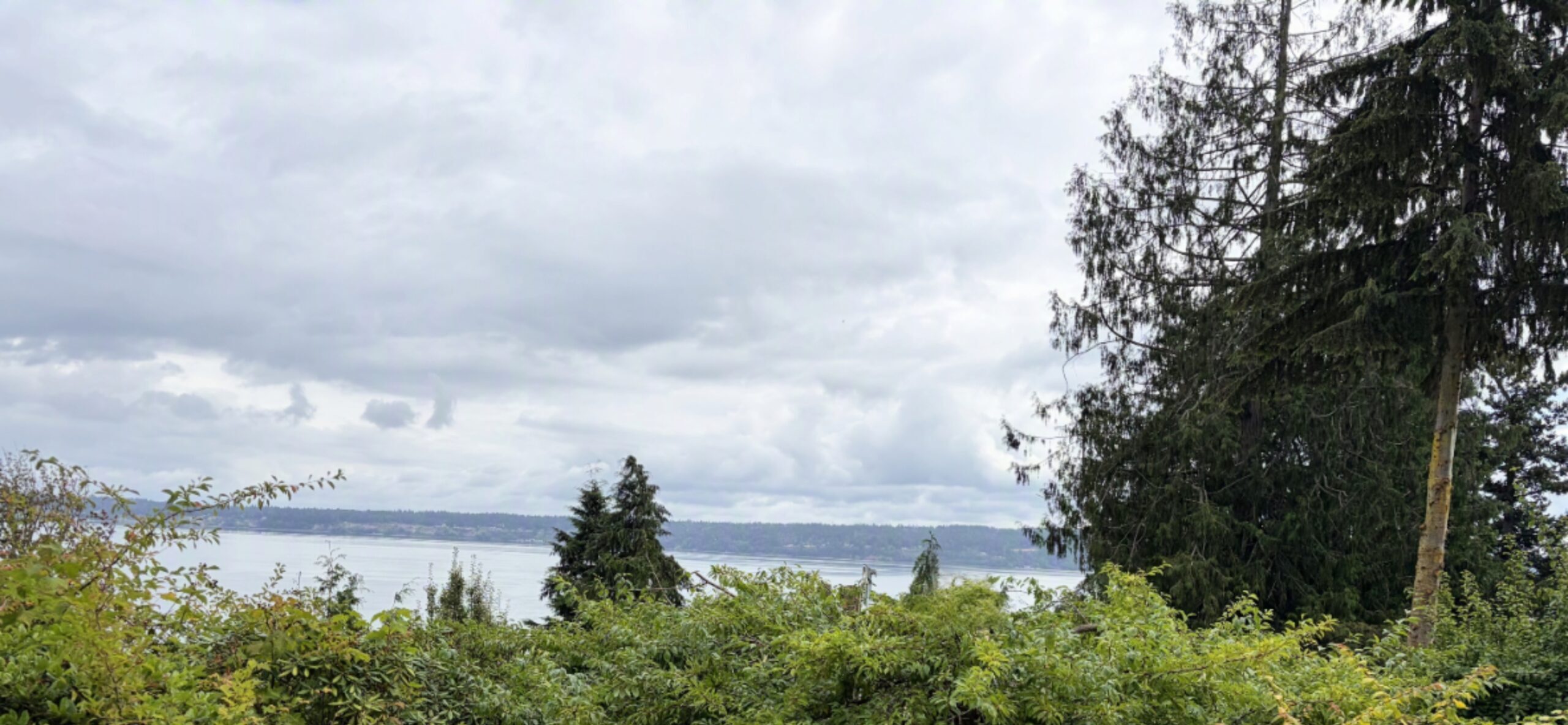 Photo image of water views
