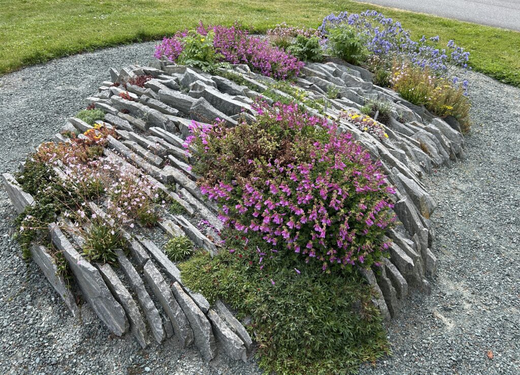 Crevice Garden 2026