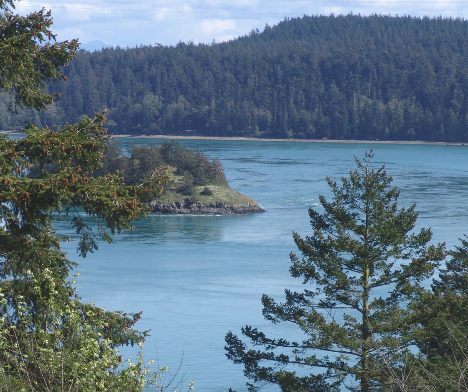 Lake with island in the middle.