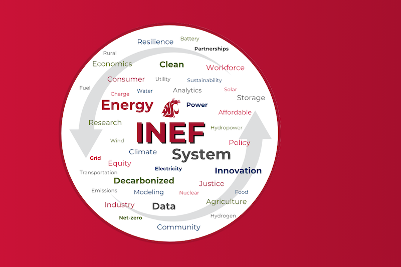 Image representing the connections with the Institute for Northwest Energy Futures