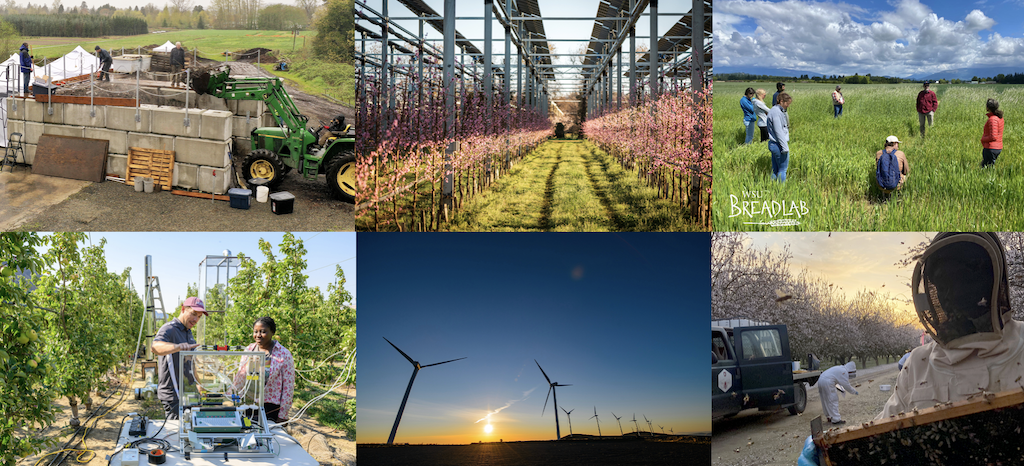 Climate projects across Washington