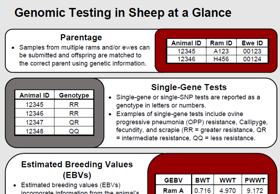 small example picture of fact sheet