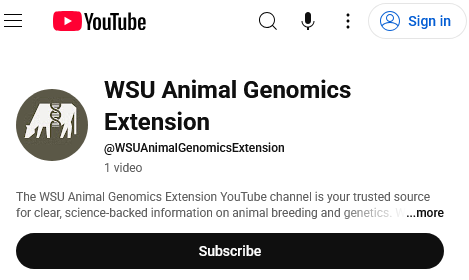 small picture of youtube channel