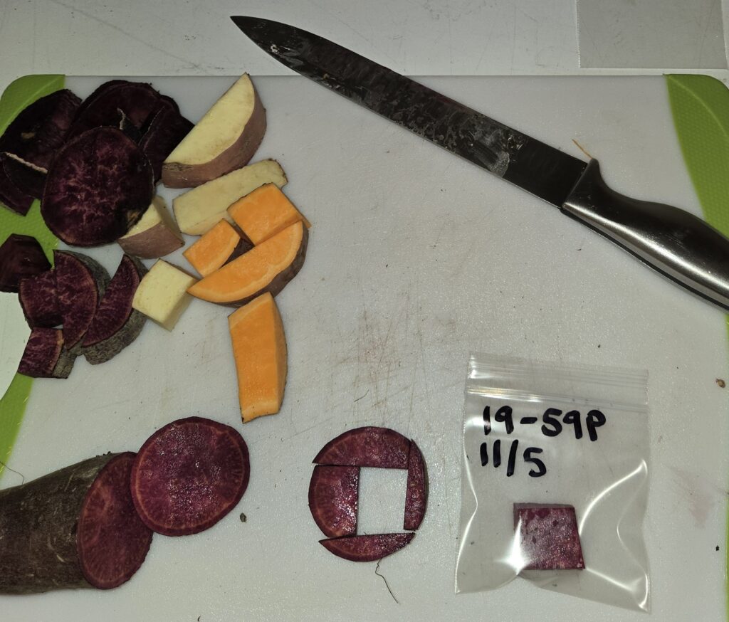 A white cutting board with white, orange, purple sweetpotatoes and a silver knife sitting on it. The sweetpotatoes have been cut up. A small cube of purple sweetpotato is places in a small plastic bag labeled with the variety and date.