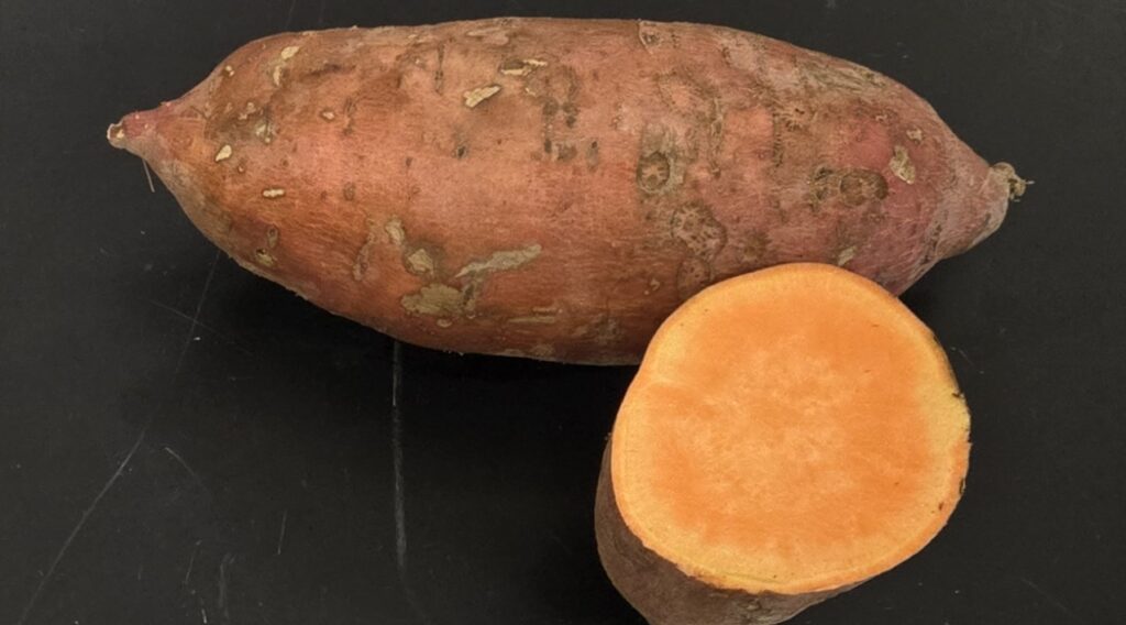 a beauregard root and cross-section showing the orange skin and orange flesh