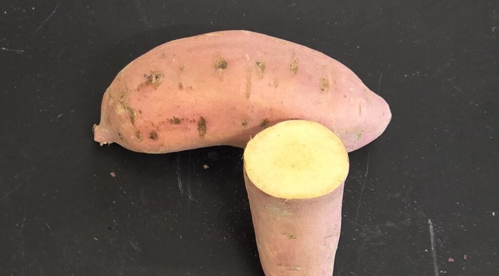 a cascade root and cross-section showing the rose skin and white flesh