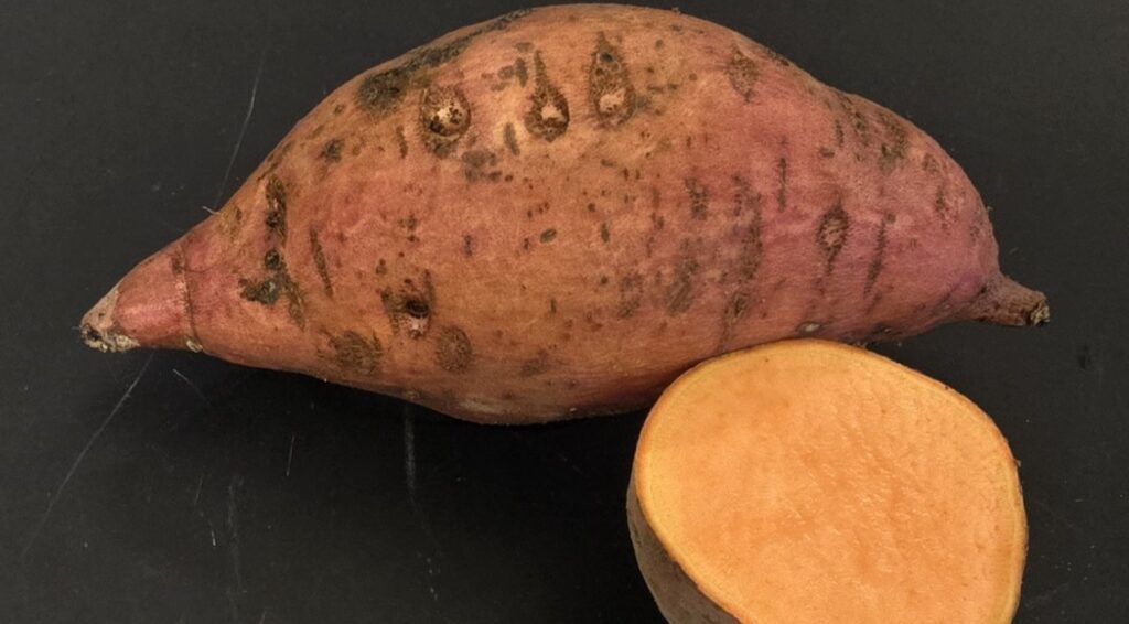 a monaco root and cross-section showing the orange skin and orange flesh