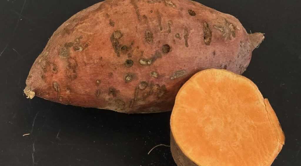 an orleans root and cross-section showing the orange skin and orange flesh