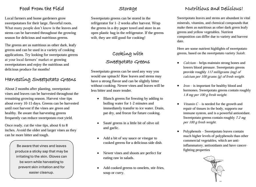 sweetpotato greens brochure that includes paragraphs on how greens are grown, harvested, stored, cooked, and their nutritonal benefits.