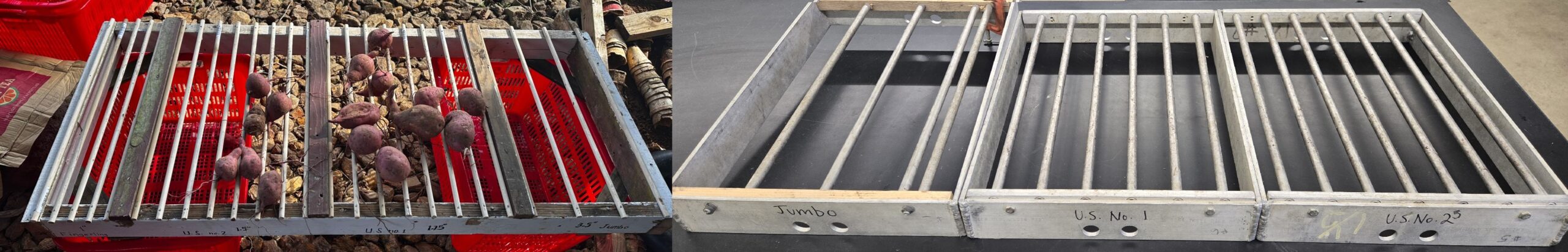two different grading set ups of custom metal racks. left, including sweetpotatoes sitting on the rack. right, without. both have jumbo, us number 1 and number 2 written on the sides.