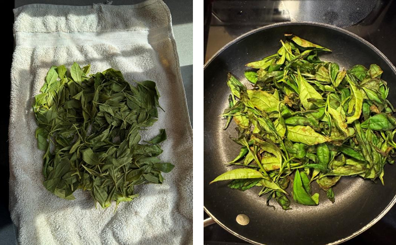 tea leaves on a white towel (left), and tea leaves in a frying pan (right)