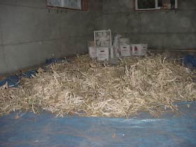 drying beans inside a building with a box fan