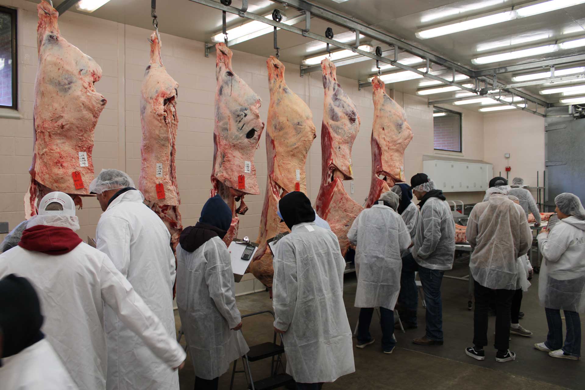 Retail cuts webpage. 