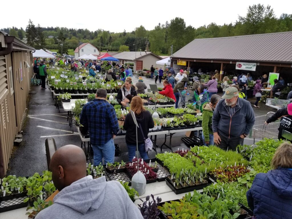 Plant sale opening day.