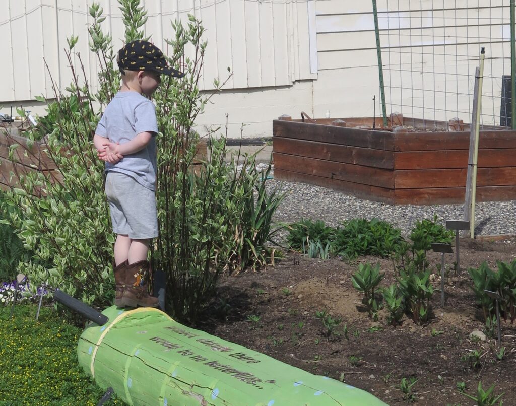 Wood chips in the demo garden