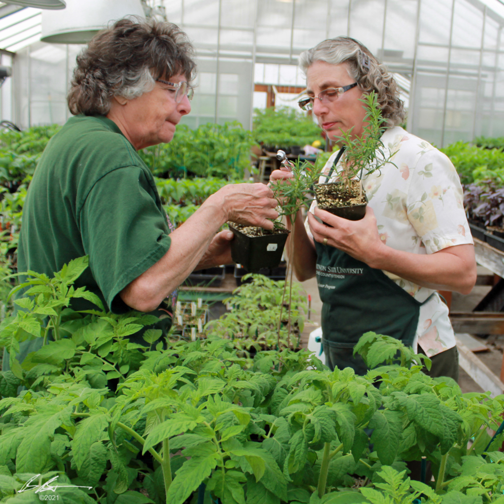 Master Gardeners inspecting greenhouse plants