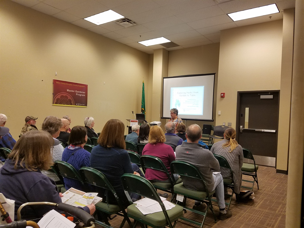 Wood chips in the demo garden